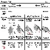 image of Figure 69
